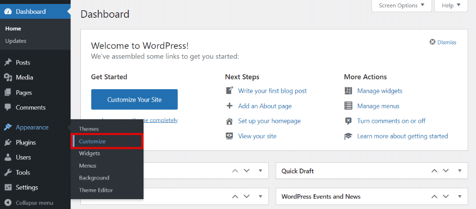 Hide all of your page title in appearance customize tab